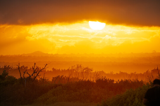 Isla Isabela, Galapagos Islands, Ecuador