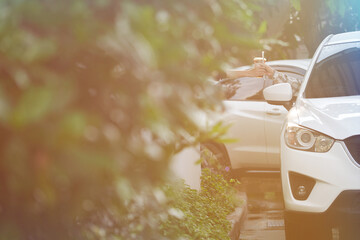 Fototapete bei efototapeten.de bestellen   