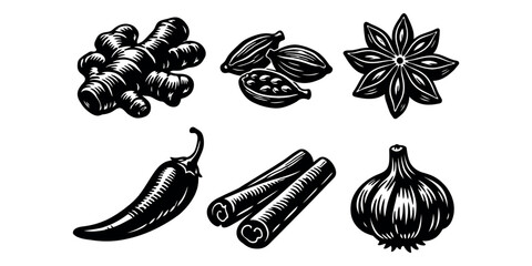 Set of spice and aromatic herb illustrations including ginger, cardamom, star anise, chili pepper, cinnamon sticks, and garlic clove