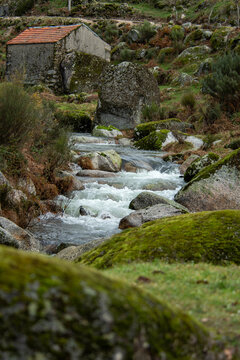 ribeira na serra da estrela