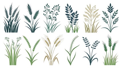 Fototapeta premium A diverse vector icon set showcasing various types of cereals, grains, and decorative grass blades perfect for agricultural, botanical, and natural design projects