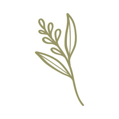 Minimalist Green Botanical Sprig