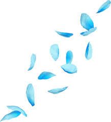 Obraz premium Falling Blue Poppy Petals