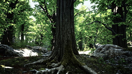 In a serene forest, sunlight gracefully shines through the canopy, illuminating vibrant green leaves. Ancient trees stand tall, with exposed roots and moss covering the rocky ground.