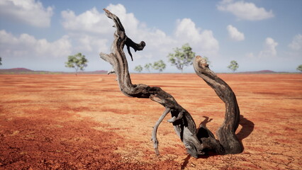 Fototapeta premium A striking, twisted branch lies on parched earth, surrounded by sparse greenery. The bright sky adds to the desolation, evoking a sense of solitude and stark beauty in nature.