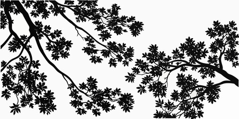 A detailed black and white illustration of a tree branch with numerous leaves Vector © nalu
