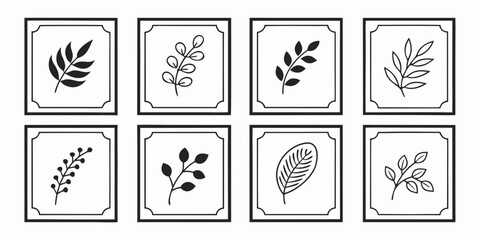 A collection of various leaf shapes and patterns in a grid layout Vector