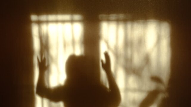 Shadow of happy young dancing lady. Joyful jumping listening music, shaking rhythmically head to the music. She dancing with abandon in sunlight, letting her body move freely. Lucky impressed girl