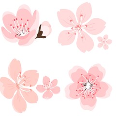 Pink Japanese cherry blossoms, spring cherry blossom petals, icon illustration material set