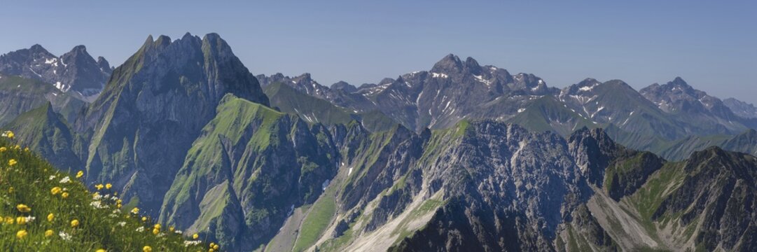 Mountain panorama with troll flowers (Trollius europaeus) from Laufbacher-Eckweg to H&ouml;fats 2259m, and Allg&auml;u main ridge with Trettachspitze 2595m, M&auml;delegabel 2645m, Bockkarkopf 2609m and Hochfrottspitze 2649m, Allg&auml;u Alps, Allg&auml;u, Bavaria, Germany