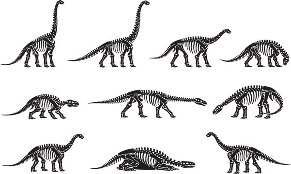 Brachiosaurus Skeleton Line Art Bundle ? Black and White Dinosaur Skeleton Icons.eps