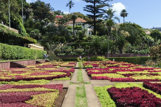 Flowerbeds and plants laid out as samples, Funchal Botanical Garden, Jardim Botanico, Madeira, Portugal