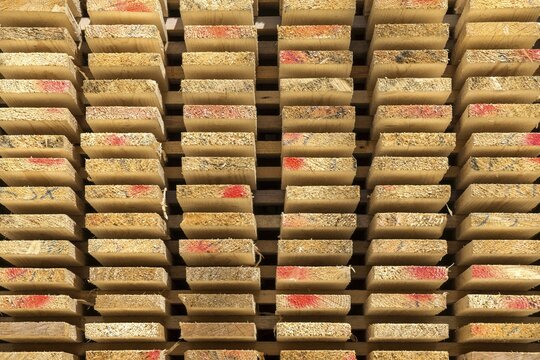 Sawn timber, stacked wooden boards, Oberstdorf, Allg&auml;u, Bavaria, Germany