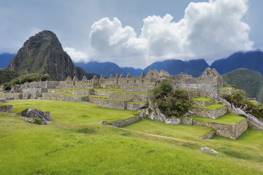 Machu Picchu, Ruined city of the Incas with Mount Huayana Picchu, Andes Cordilleria, Urubamba province, Cusco, Peru