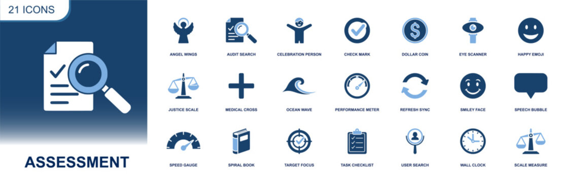 Assessment icon set. Containing audit search, checklist, check mark, performance meter, target focus, user search, clock, refresh, scale measure, feedback and more. Solid fill vector icons collection.