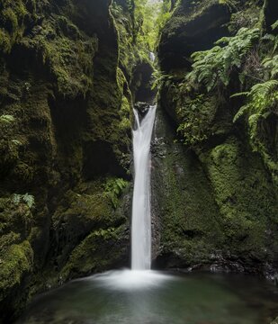 Waterfall in a narrow gorge overgrown with moss and ferns, Levada do Caldeir&atilde;o do Inferno, Parque Florestal das Queimadas, Madeira, Portugal