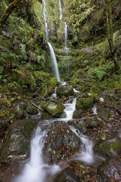 Waterfall on a rock face overgrown with ferns and moss, long exposure, Levada do Caldeir&atilde;o Verde, Parque Florestal das Queimadas, Madeira, Portugal