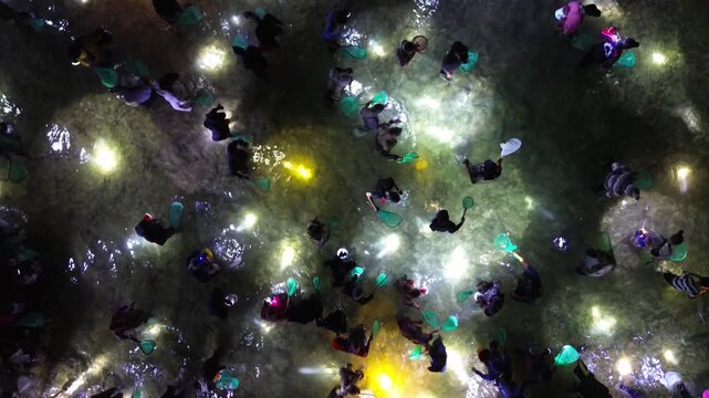 Aerial view of a large group of people wading in water at night. They use nets to catch seaworms. Lights illuminate the water and people. the Bau Nyale Festival in Lombok, Indonesia.