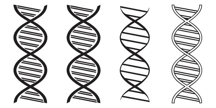 Comparison of dna structures highlighting different molecular formations Vector