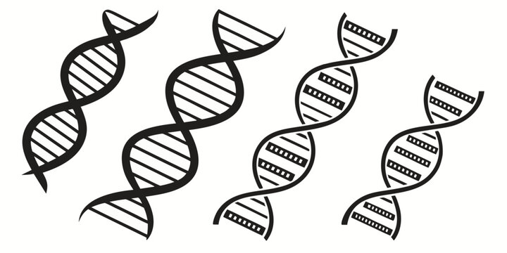 Illustration of intertwined dna strands representing genetic information Vector