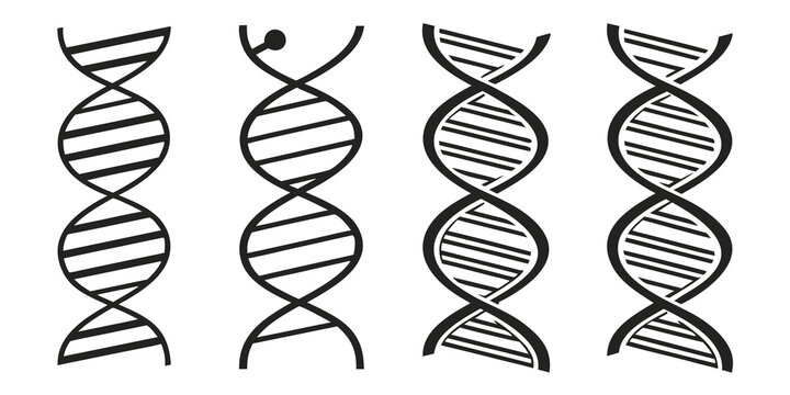 Illustration of various dna structures with different configurations and mutations Vector