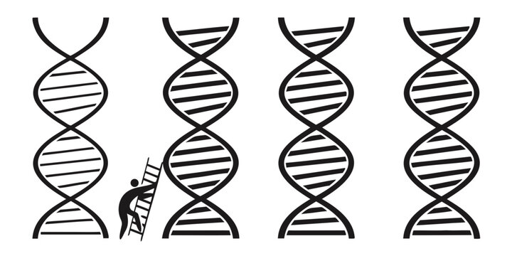 Illustration of various dna strands and their molecular structures. Vector