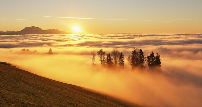 Sunbeams shining in the mist through a forest in the back Pilatus in the light of the setting sun, Zugerberg, Canton Zug, Switzerland