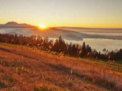High moor at Zugerberg at sunset, Lake Zug with Pilatus in the background, Canton Zug, Switzerland