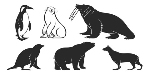 Illustration of diverse animals including penguins, seals, and bears Vector © Sa