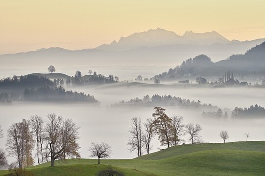 Meadows and trees in autumnal early morning mist, S&auml;ntis in the background, Hirzel Canton