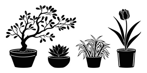 Four potted plants with different leaf shapes and sizes arranged in a row. Vector © Sa
