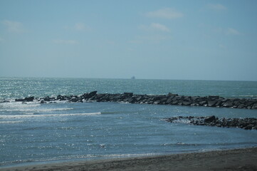 seagulls on the beach