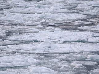海の上に浮かぶ流氷　2026年2月 © tawa--mana