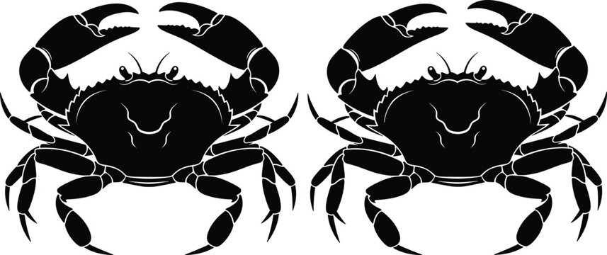 Black vector silhouette set of two large edible crabs with sharp claws for seafood restaurant branding marine biology education and coastal kitchen menu design