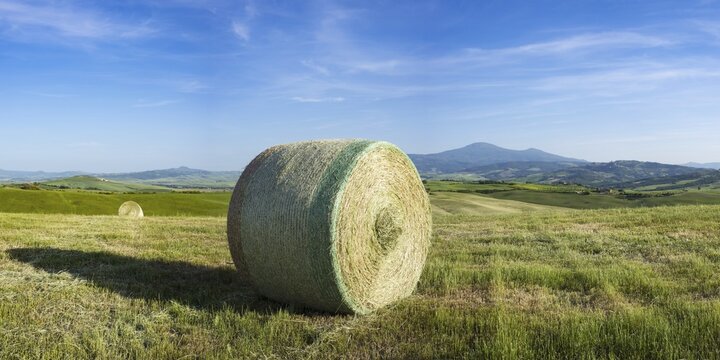 Harvested wheat field with straw bales, landscape around Pienza, Val dOrcia, Orcia Valley, UNESCO World Heritage Site, Province of Siena, Tuscany, Italy