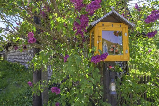 Small statue of the Virgin Mary and flowering lilac, Čičmany, Žilinsk&yacute; kraj, Slovakia