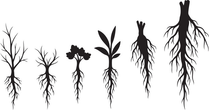 Silhouettes of various plant roots and stems