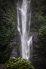 Obraz premium Tall waterfall with white stream dropping down mossy cliffs in a tropical rainforest. Waterfall, jungle, rainforest, nature, stunning view 