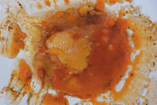 Fat eye on plate, Provence, France