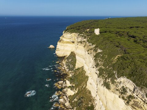 Cliff, pine tree (Pinus pinea) forest and watchtower Torre de Tajo in the Nature Reserve La Bre&ntilde;a y Marismas del Barbate, aerial view, drone shot, C&aacute;diz province, Andalusia, Spain