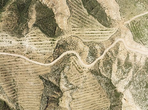 Dirt road and areas of reforestation in the Gorafe Desert with green surroundings after some rainfalls, aerial view, drone shot, UNESCO Granada Geopark, Granada province, Andalusia, Spain