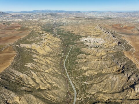 The Gor river valley grown with cultivated olive trees (Olea eropaea) and the town of Gorafe, aerial view, drone shot, Gorafe Desert, UNESCO Granada Geopark, Granada province, Andalusia, Spain