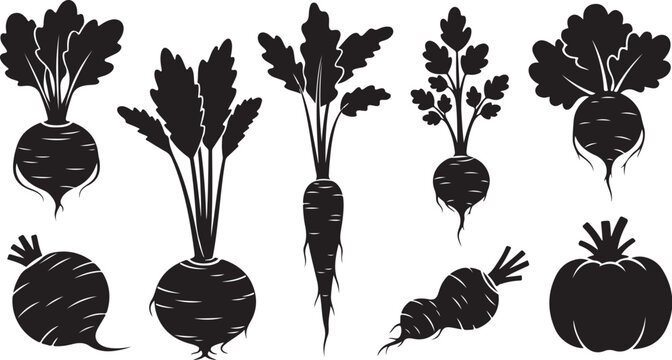 Vegetable Silhouettes of Roots and Leafy Greens Collection