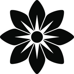 Black flower with pointed petals and white accents