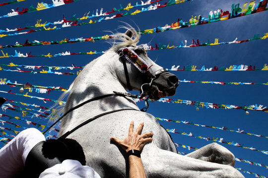 Fornells, Spain - 27 July 2025: View of a prancing white horse against a bright blue sky adorned with vibrant festive banners, evoking the spirit of a lively celebration.