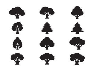 Obraz premium Beautiful nature tree silhouette with elegant forest landscape design