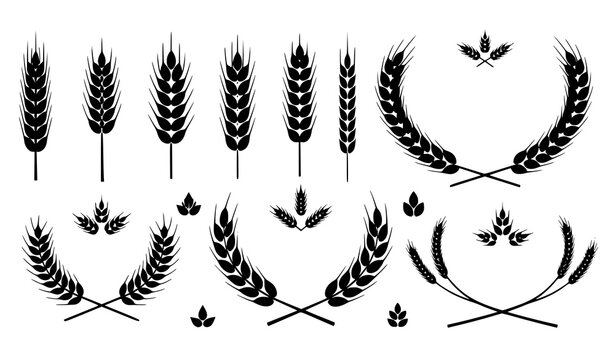 Wheat symbol silhouettes agriculture vector set