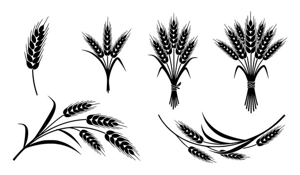 Wheat grain vector icons black silhouette pack