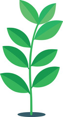 Fototapeta premium Green Minimal ZZ Plant Leaf Stem Vector Illustration