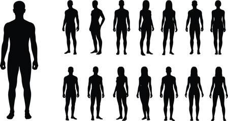 Naklejka premium Male and female full body human silhouettes set, front and back view isolated on white background for anatomy reference